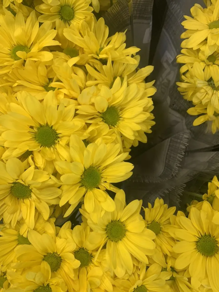 Custom outdoor landscaping for beautiful yards in Waco, TX by Dodd's Lawn Care Service