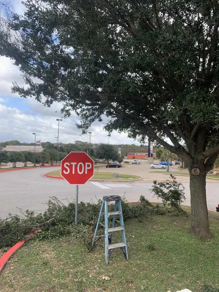 Affordable landscape installation in Waco, TX - Dodd's Lawn Care Service