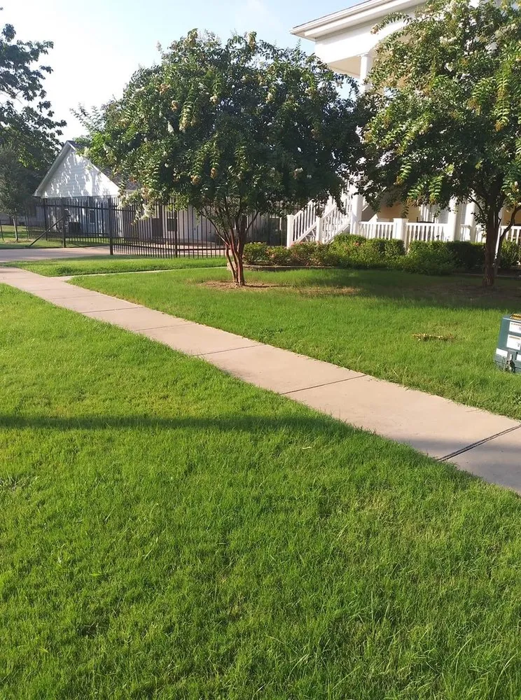 Top-rated yard maintenance for homes in Waco, TX by Dodd's Lawn Care Service