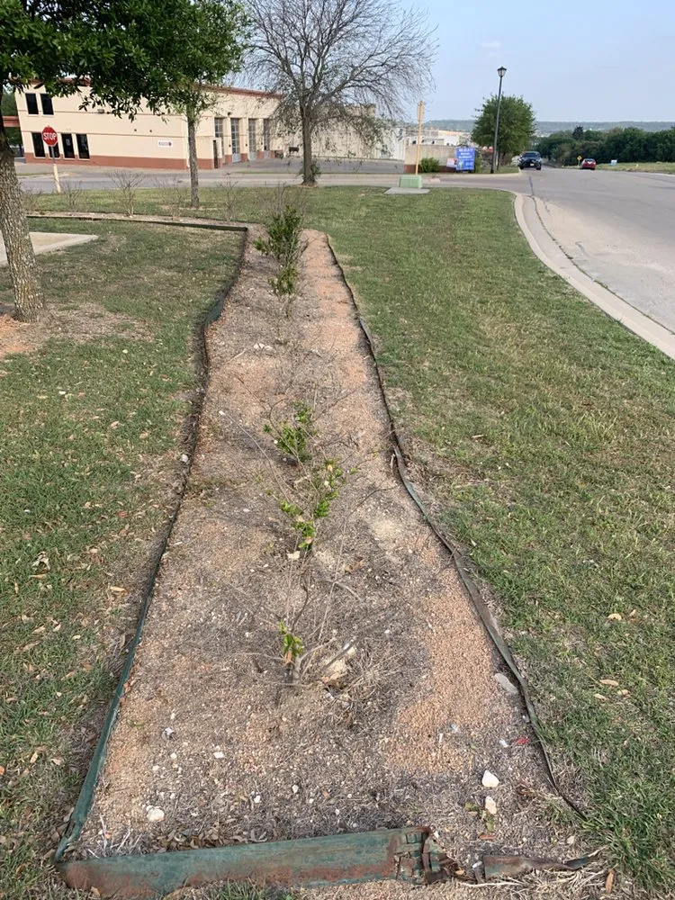 Affordable landscaping services for year-round maintenance in Waco, TX by Dodd's Lawn Care Service