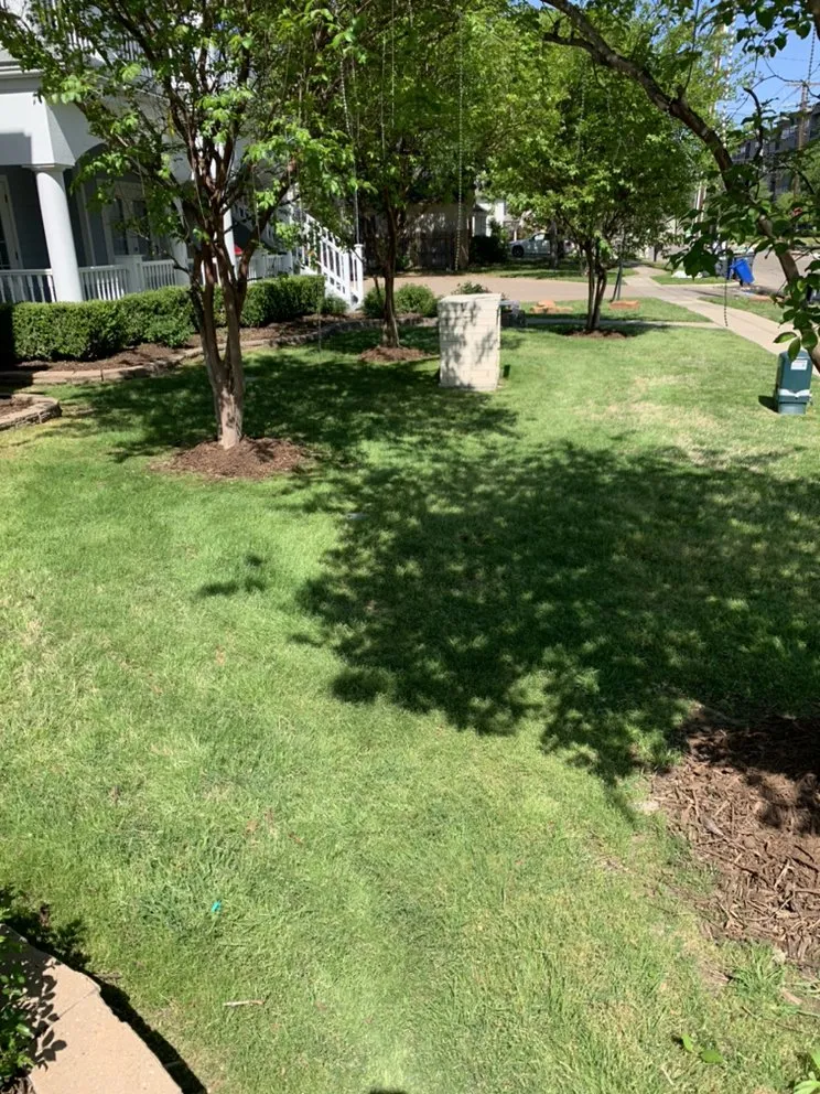Reliable yard cleanup service with custom design across Waco, TX - Dodd's Lawn Care Service