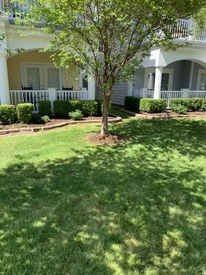 Dodd's Lawn Care Service Logo