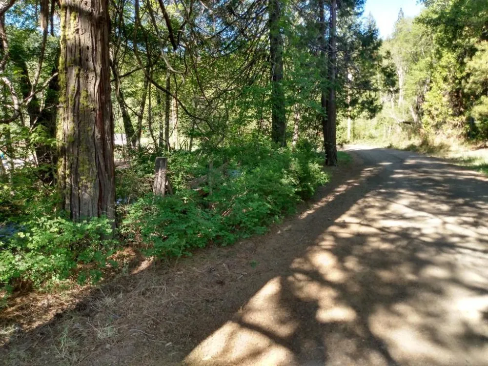 Top-rated landscape design experts serving Mount Shasta, CA - Dodge Maintenance