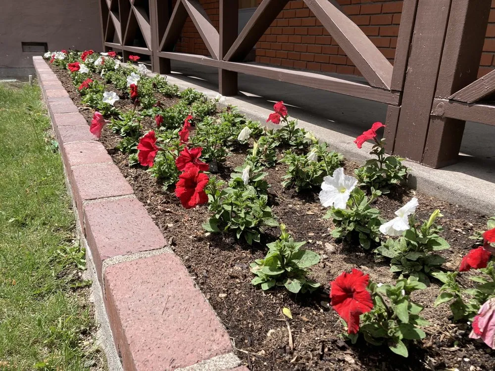 Top-rated landscape design for outdoor upgrades in Mount Shasta, CA by Dodge Maintenance