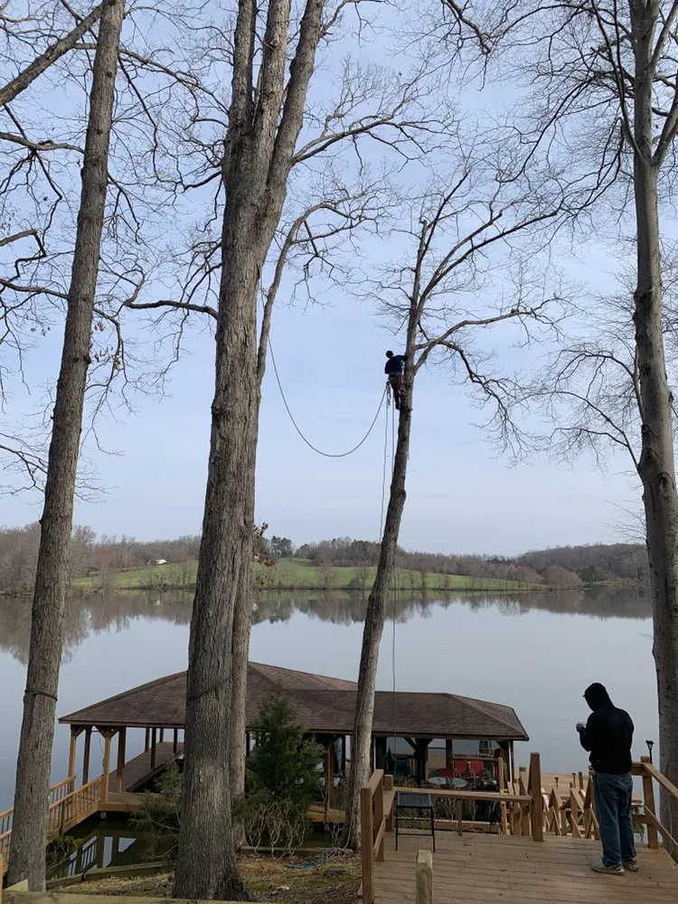 Reliable landscape design experts serving Raccoon Ford, VA - Dodson's Complete Tree Service