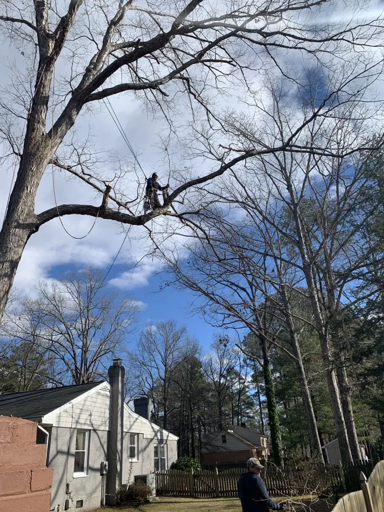 Professional yard maintenance for residential properties in Raccoon Ford, VA by Dodson's Complete Tree Service
