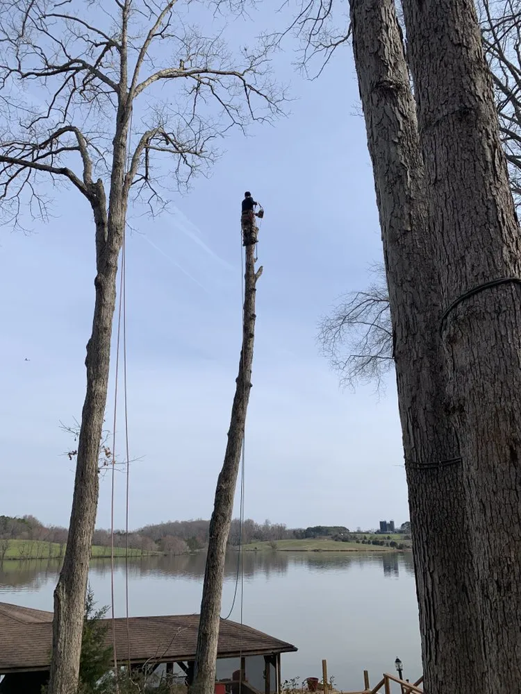 Custom landscaping services experts serving Raccoon Ford, VA - Dodson's Complete Tree Service
