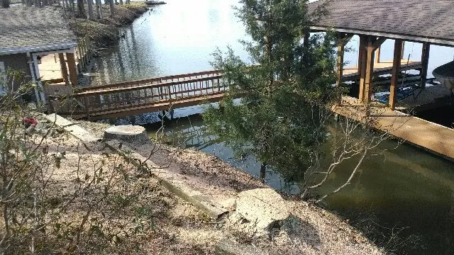 Expert landscape installation in Raccoon Ford, VA - Dodson's Complete Tree Service
