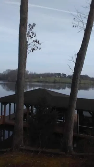 Local residential landscaping for homes across Raccoon Ford, VA - Dodson's Complete Tree Service