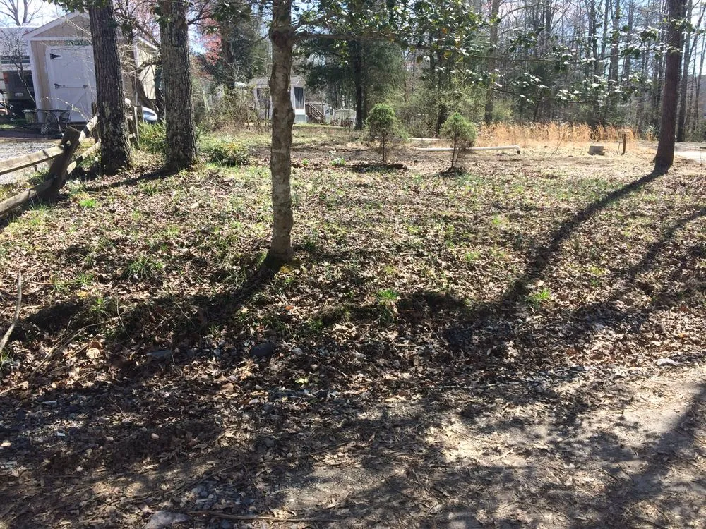 Affordable lawn care service for residential properties across Raccoon Ford, VA - Dodson's Complete Tree Service