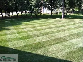 Top-rated lawn mowing service in Shakopee, MN - Doehling Landscape Services
