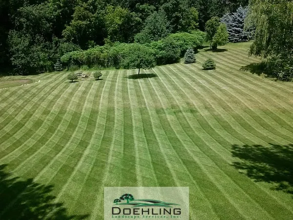 Reliable landscaping services in Shakopee, MN by Doehling Landscape Services