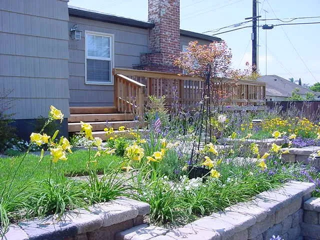 Top-rated landscaping services in Spring Valley, CA by Doerr Landscape Design