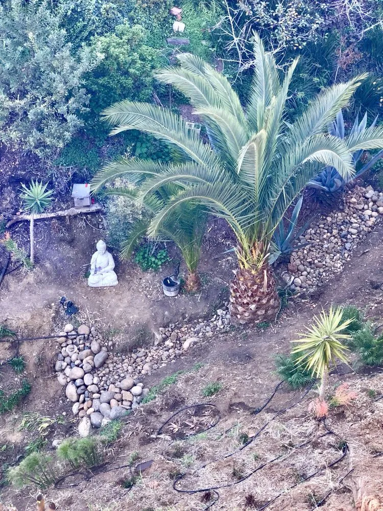 Professional residential landscaping for beautiful yards across Spring Valley, CA - Doerr Landscape Design