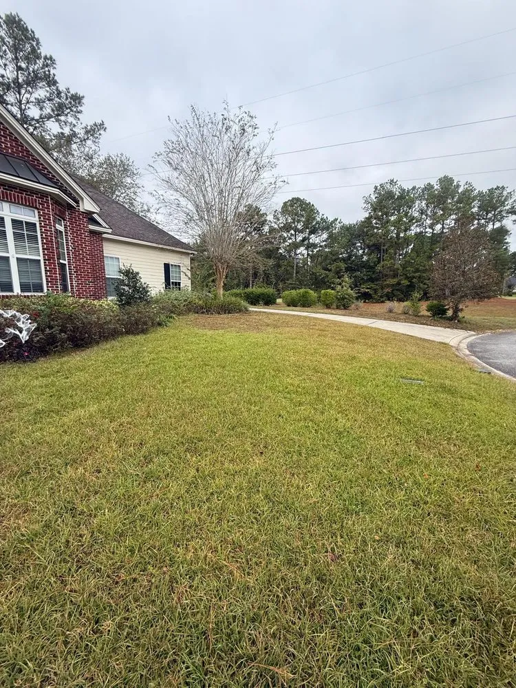 Custom landscaping services in Valdosta, GA - Dofi Painting & Pressure Washing