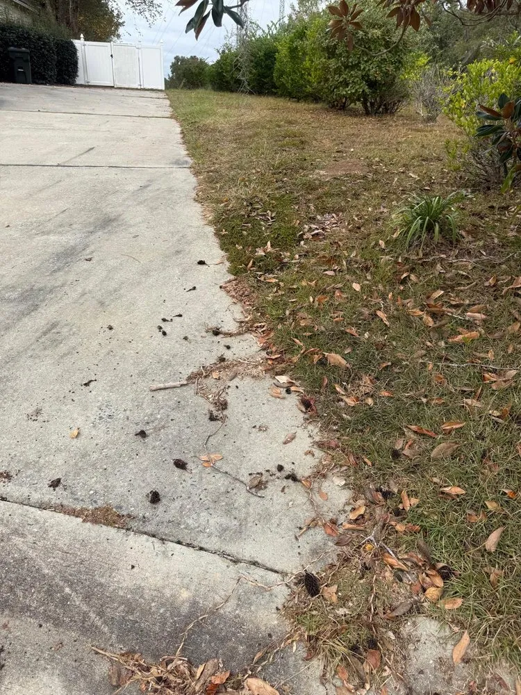 Affordable outdoor landscaping experts serving Valdosta, GA - Dofi Painting & Pressure Washing