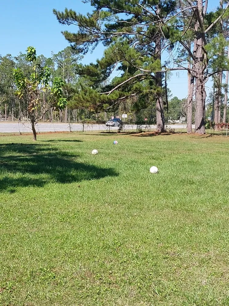 Professional yard cleanup service in Valdosta, GA - Dofi Painting & Pressure Washing