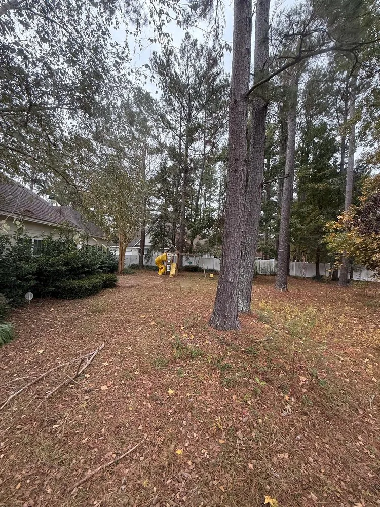 Expert outdoor landscaping for year-round maintenance in Valdosta, GA by Dofi Painting & Pressure Washing