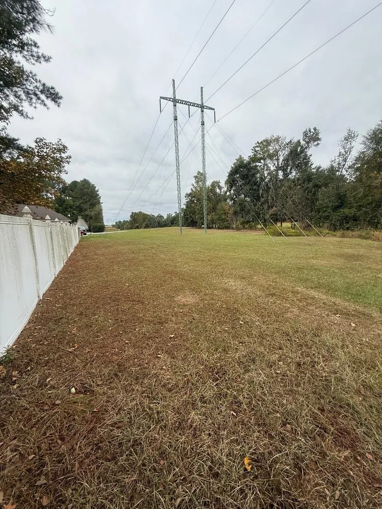 Custom lawn care service in Valdosta, GA - Dofi Painting & Pressure Washing