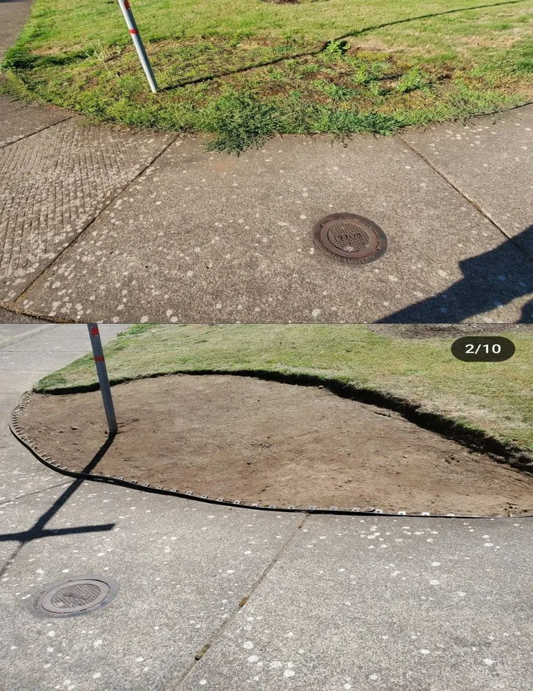 Affordable lawn care service for homes across Salem, OR - Dog On The Job