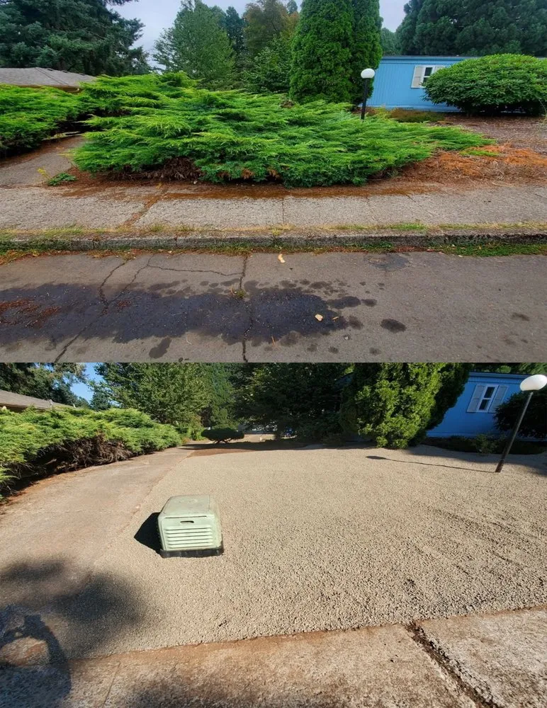 Reliable yard maintenance experts serving Salem, OR - Dog On The Job