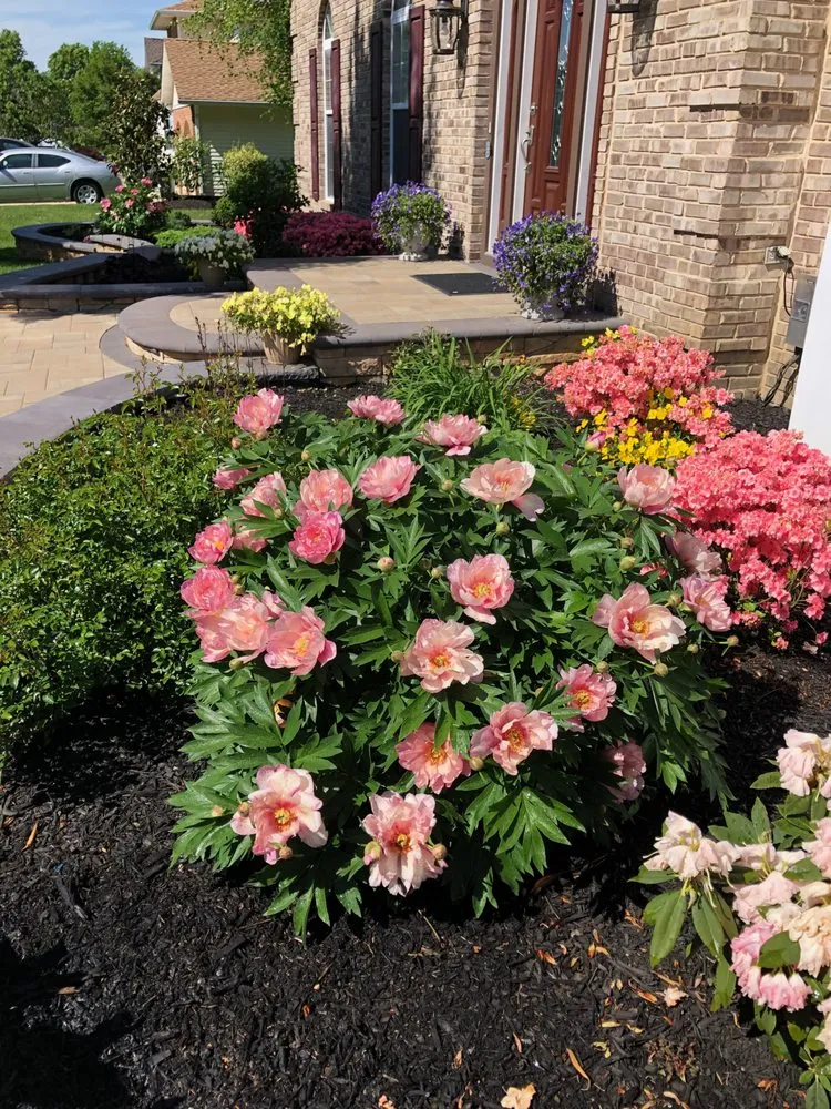 Reliable landscape design for homes across Glassboro, NJ - Dogwood Designs