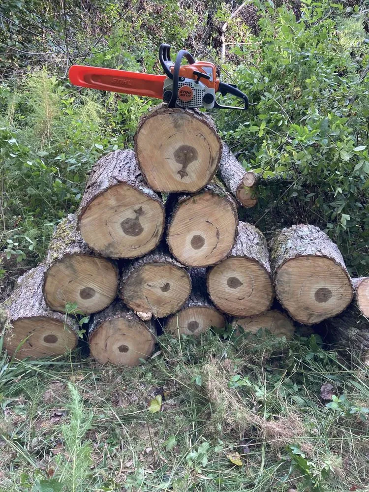 Local yard maintenance in Anderson, SC - Dogwood Garden Design