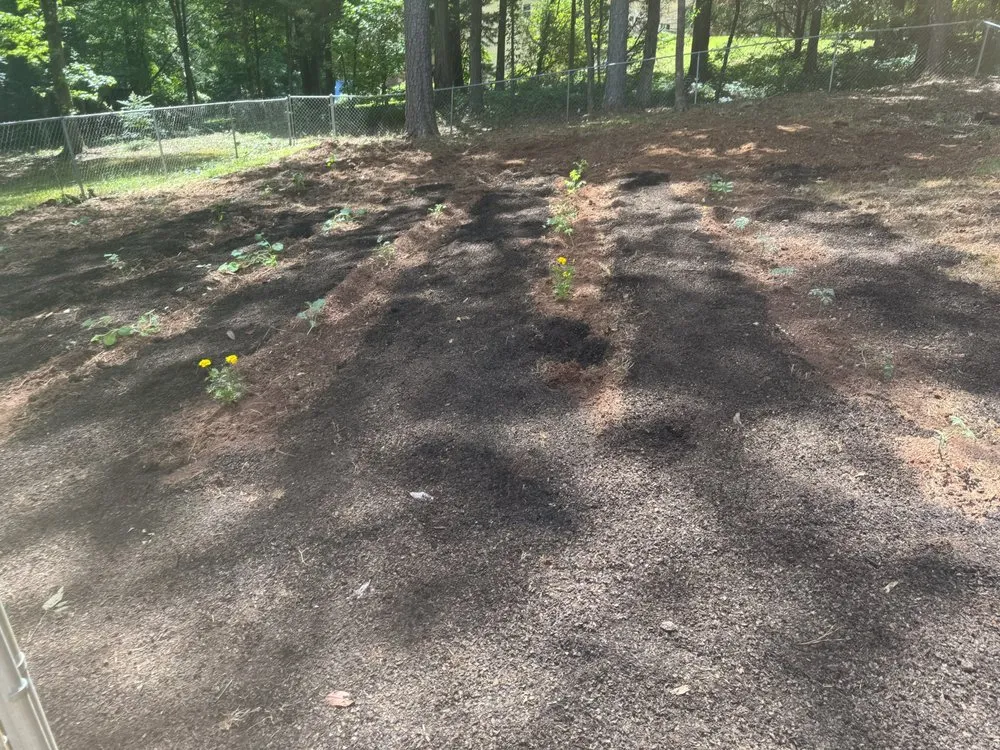 Professional yard cleanup service in LaGrange, GA by Dogwood Land Management