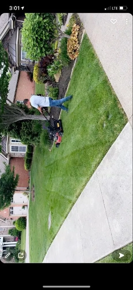 Reliable lawn mowing service in Lebanon, TN - Dogwood Landscape Maintenance Service