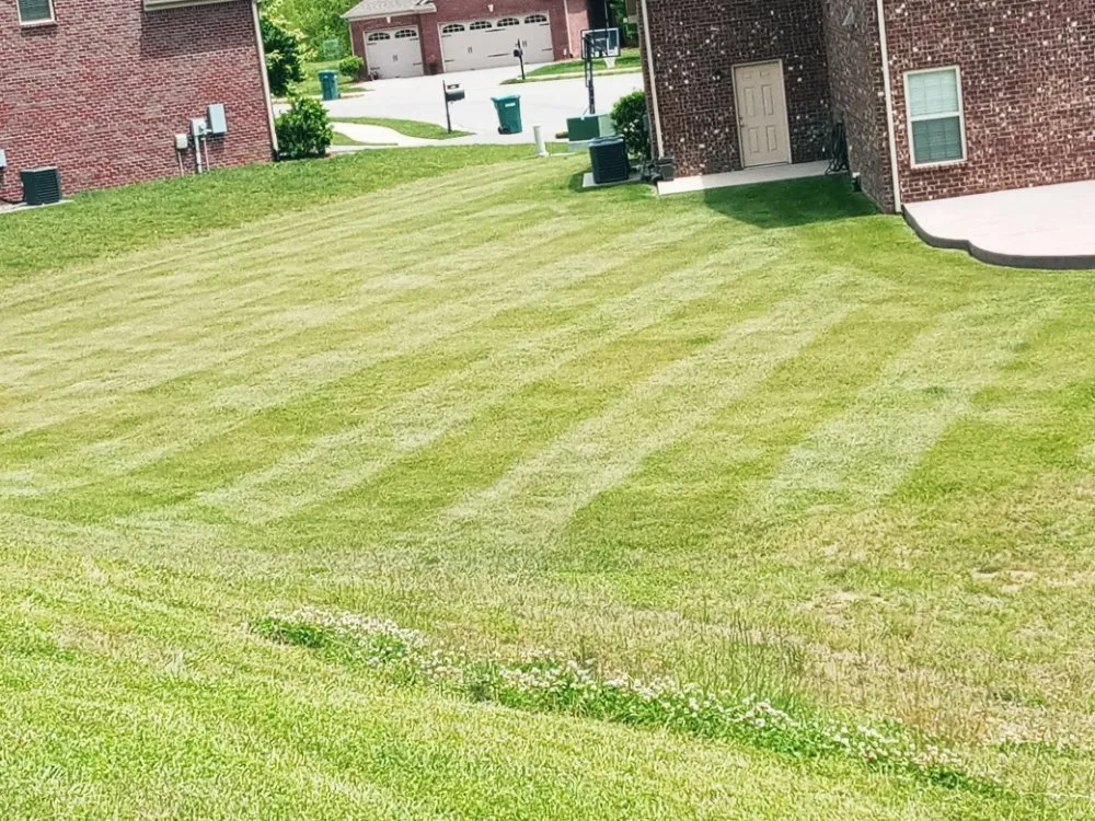 Trusted lawn mowing service in Lebanon, TN by Dogwood Landscape Maintenance Service