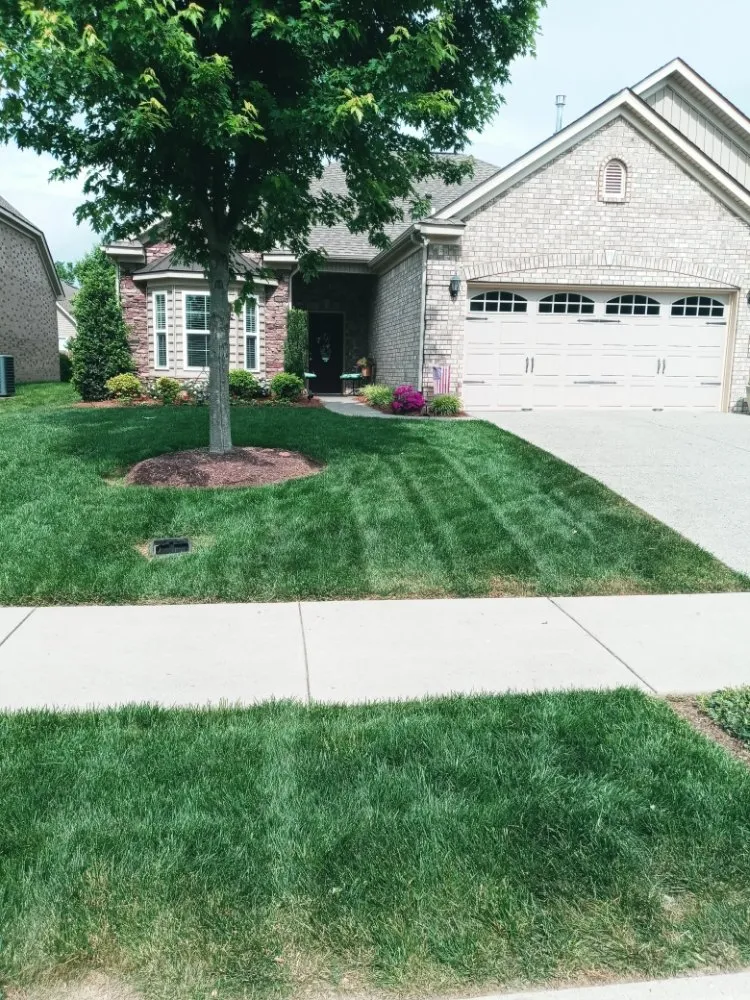 Reliable landscaping services for beautiful yards in Lebanon, TN by Dogwood Landscape Maintenance Service