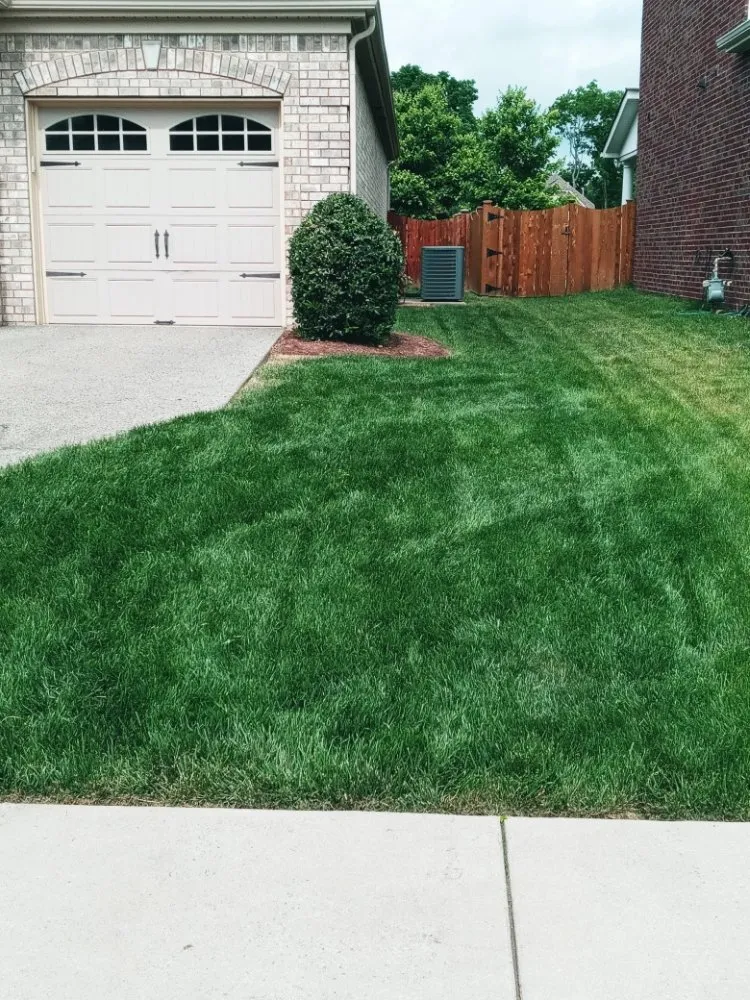 Expert outdoor landscaping in Lebanon, TN - Dogwood Landscape Maintenance Service