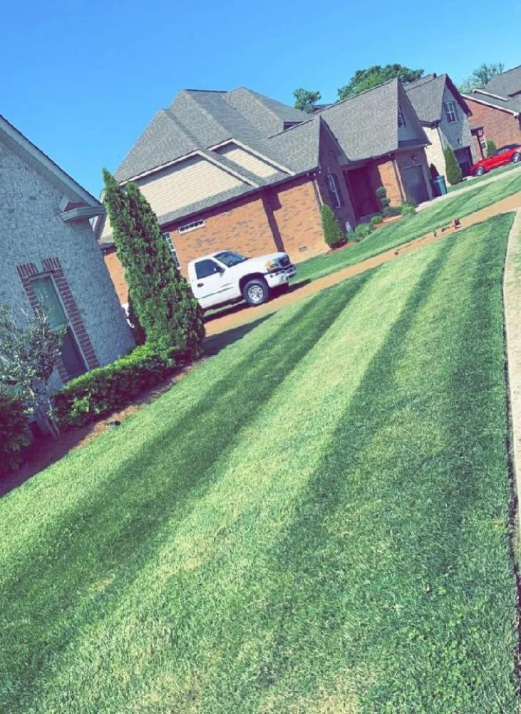 Local landscaping services in Lebanon, TN - Dogwood Landscape Maintenance Service