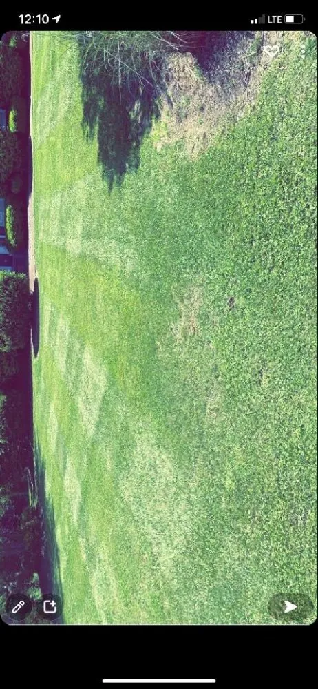 Local yard maintenance experts serving Lebanon, TN - Dogwood Landscape Maintenance Service