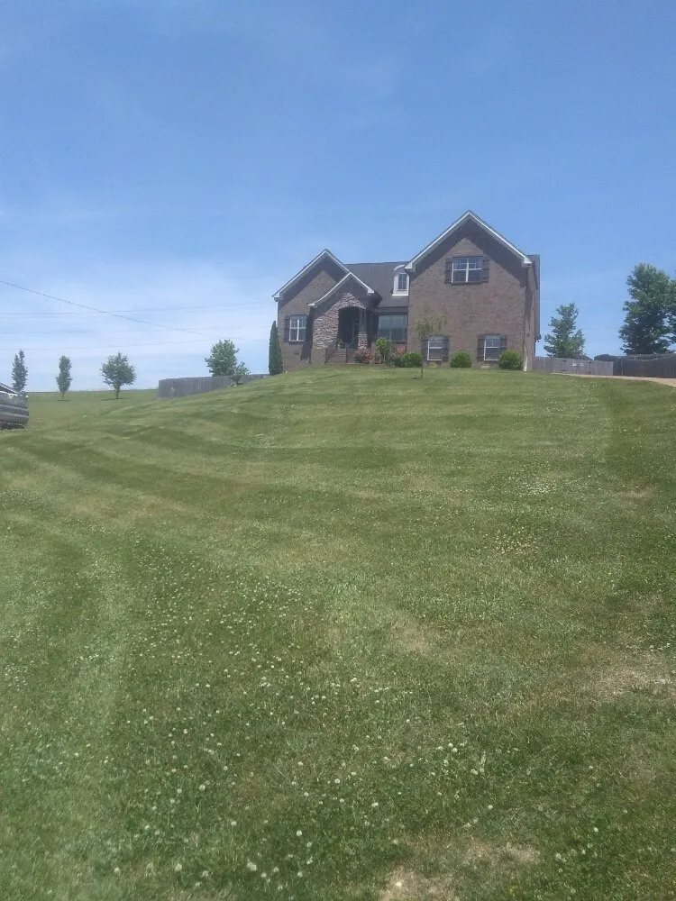 Top-rated residential landscaping experts serving Lebanon, TN - Dogwood Landscape Maintenance Service