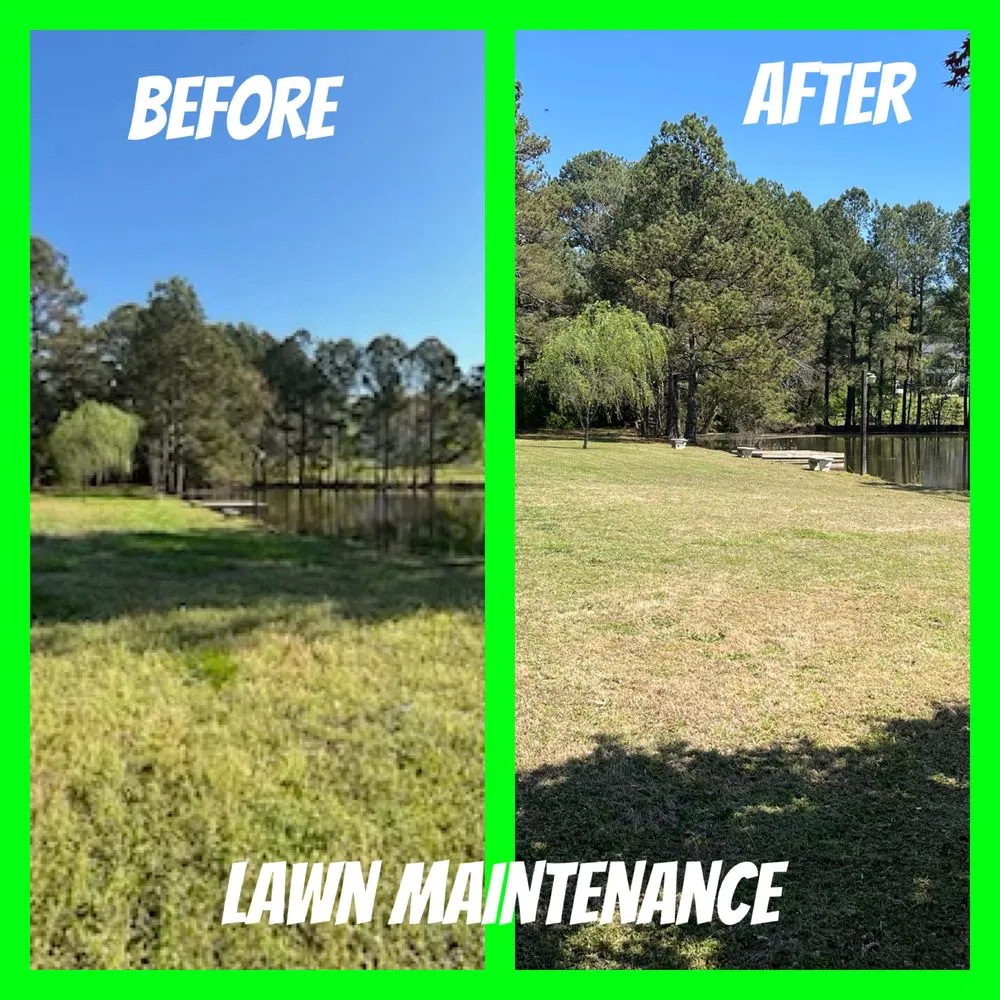 Trusted lawn care service with custom design across Dacula, GA - Dogwood Landscapes