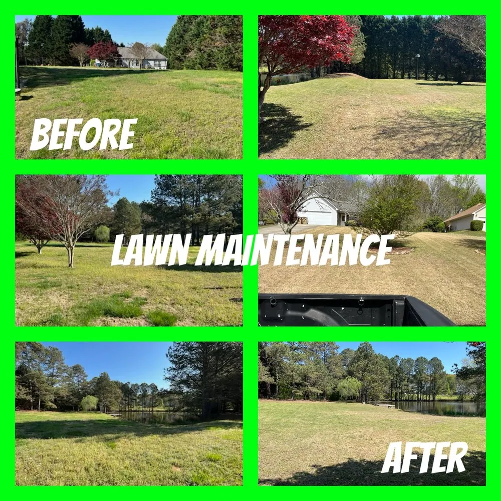 Affordable garden landscaping with custom design in Dacula, GA by Dogwood Landscapes