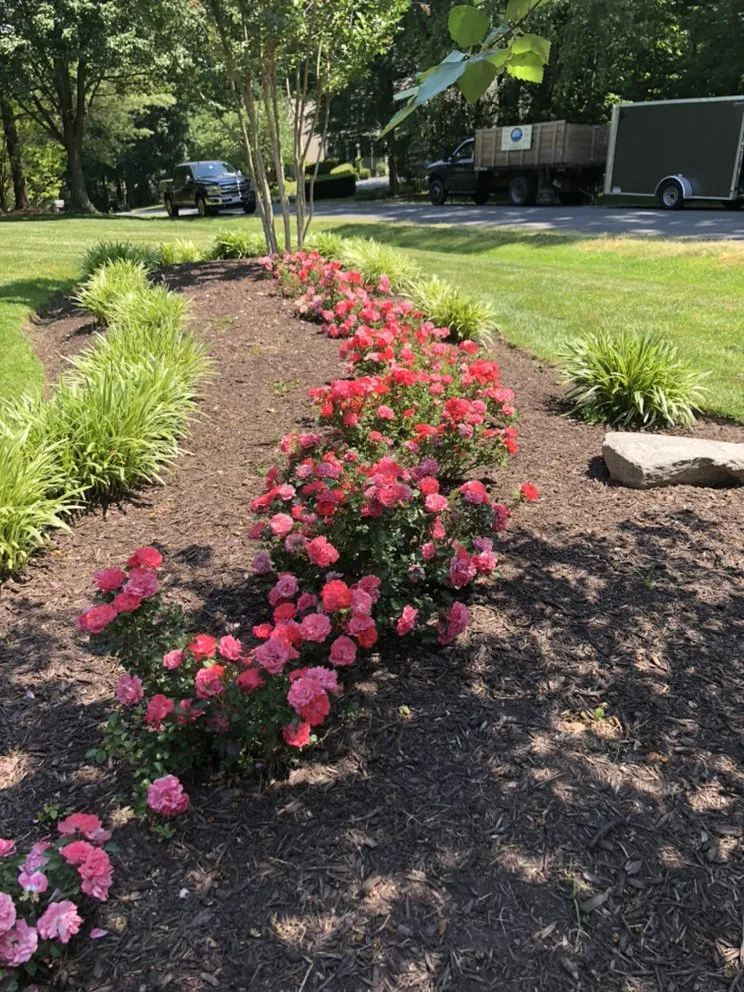 Local residential landscaping experts serving Manassas, VA - Dogwood Landscaping And Construction Services