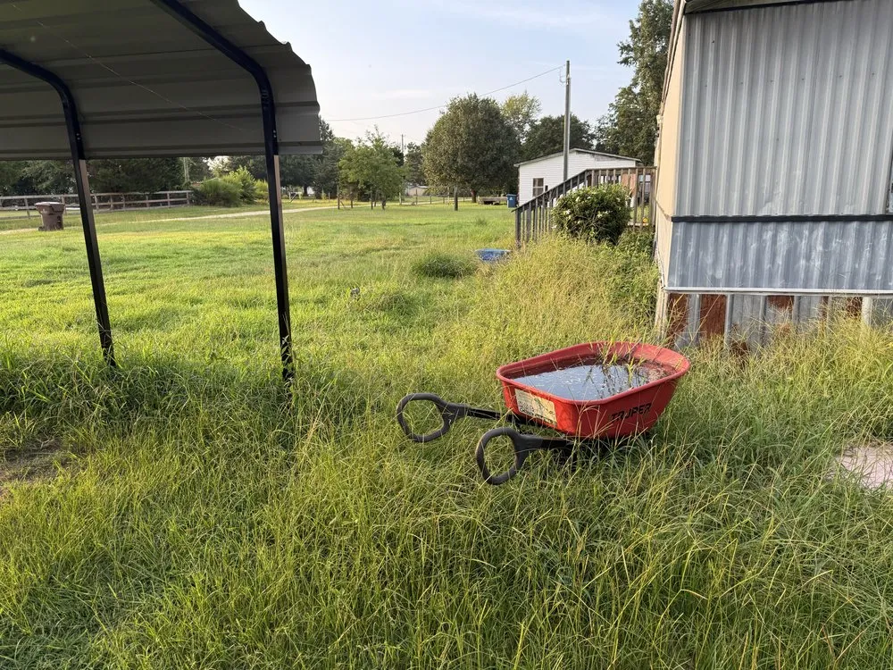 Local landscaping services in Clayton, NC - Dogwood Landscaping