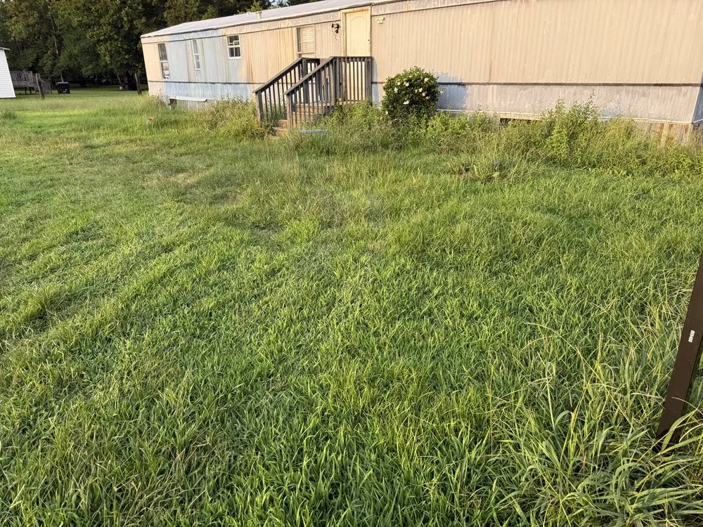 Professional lawn mowing service in Clayton, NC by Dogwood Landscaping