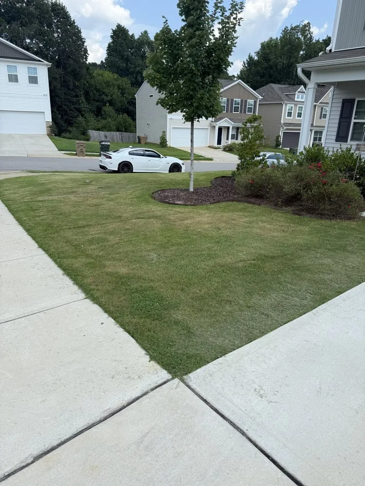 Custom landscape installation in Clayton, NC - Dogwood Landscaping