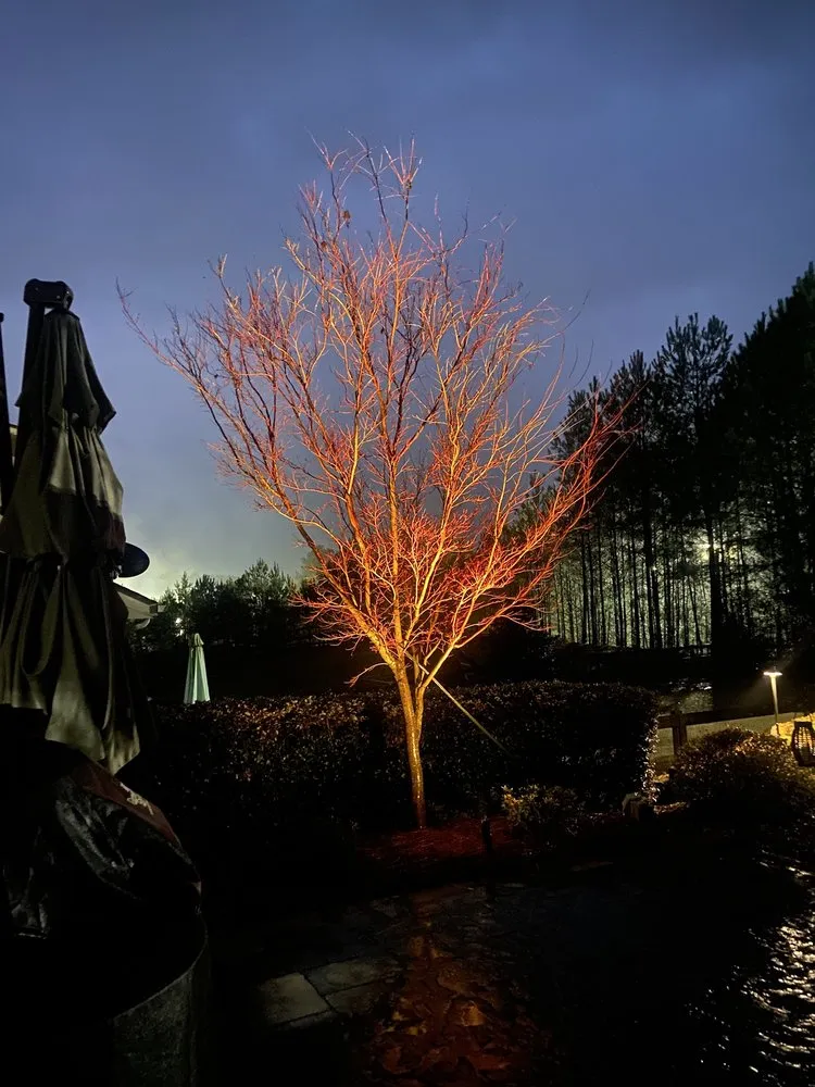 Professional yard maintenance near you across Dallas, GA - Dogwood Landscaping, Pools and Patios