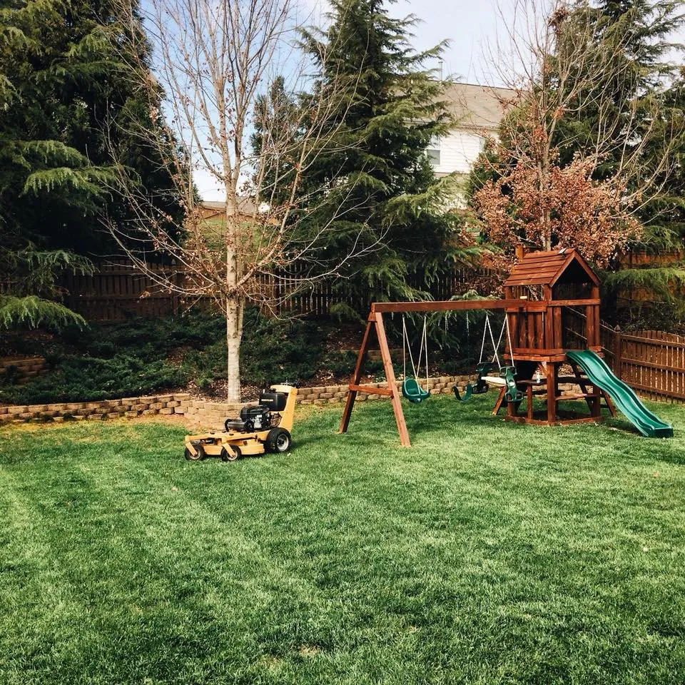 Local lawn mowing service experts serving Wake Forest, NC - Dogwood Lawn Care