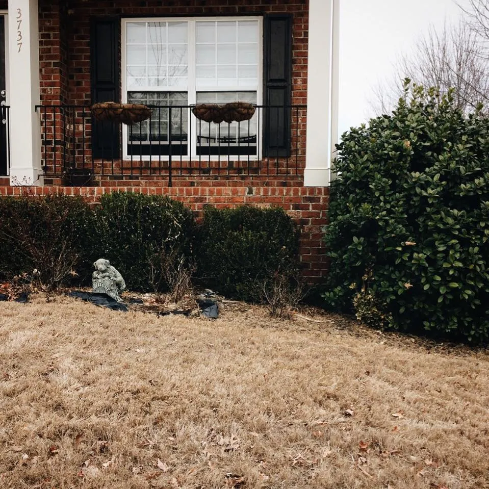 Expert residential landscaping for beautiful yards in Wake Forest, NC by Dogwood Lawn Care