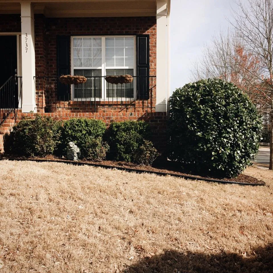 Custom yard cleanup service experts serving Wake Forest, NC - Dogwood Lawn Care