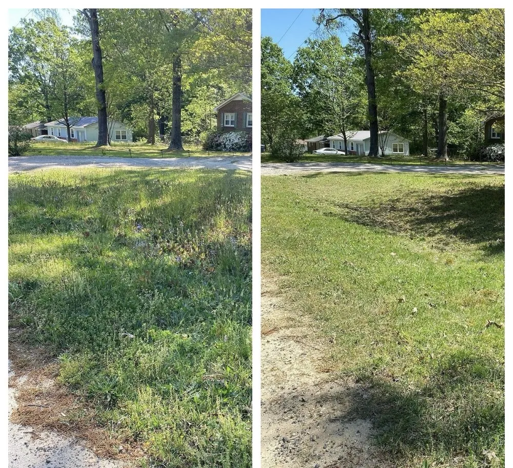 Local yard cleanup service in Wendell, NC - Dogwood Lawn Maintenance
