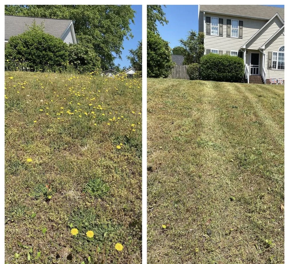 Affordable outdoor landscaping for year-round maintenance in Wendell, NC by Dogwood Lawn Maintenance