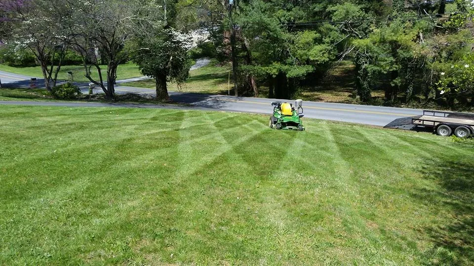 Custom landscape design for outdoor upgrades in Durham, NC by Dogwood Lawns