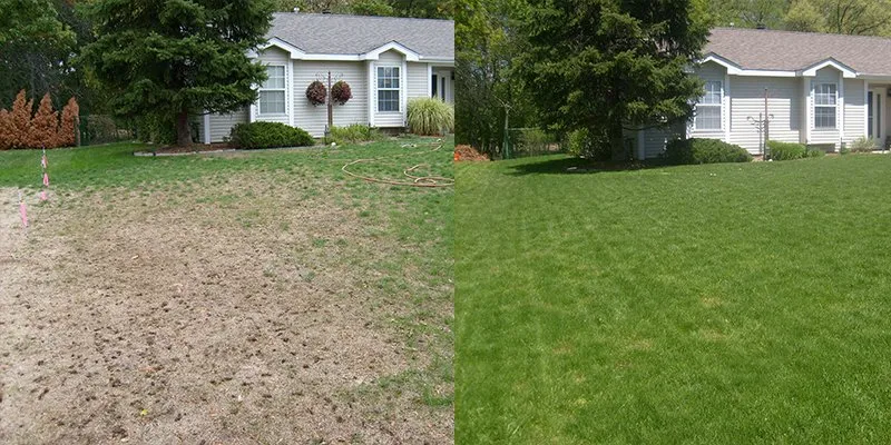 Top-rated lawn mowing service in Durham, NC - Dogwood Lawns