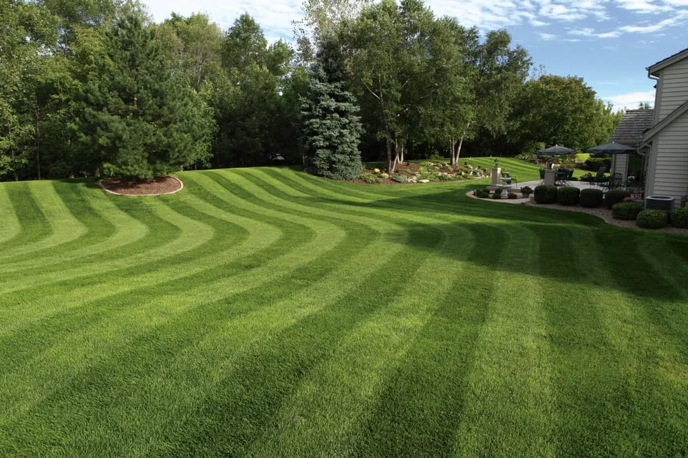 Top-rated outdoor landscaping experts serving Fredericksburg, VA - Dogwood Lawns